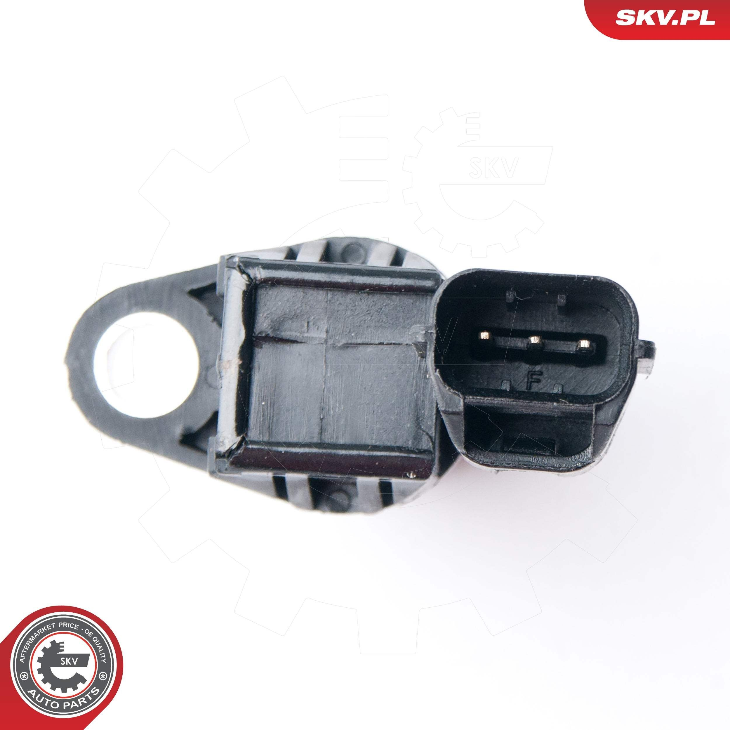 17SKV243 SKV