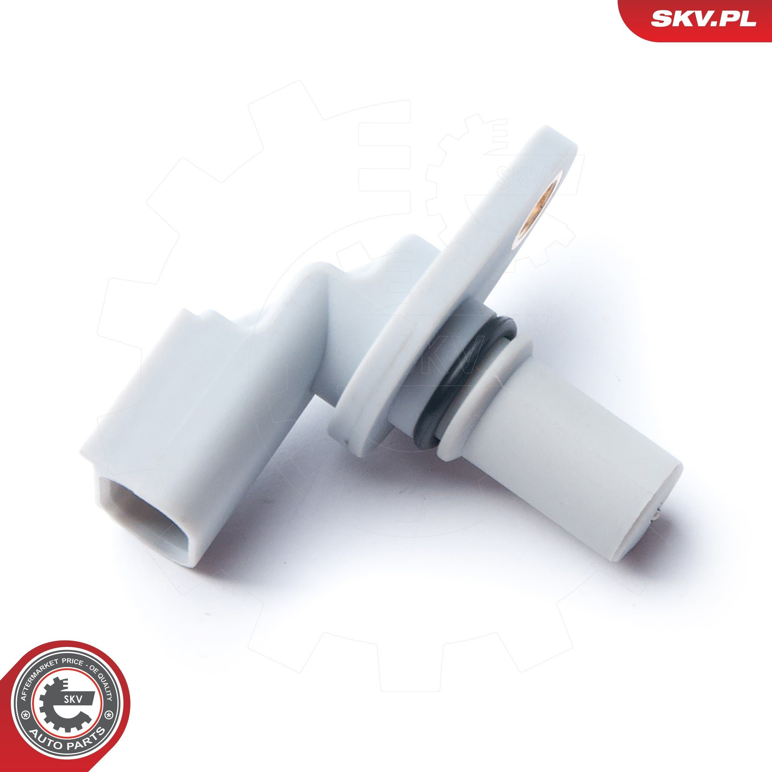 17SKV257 SKV