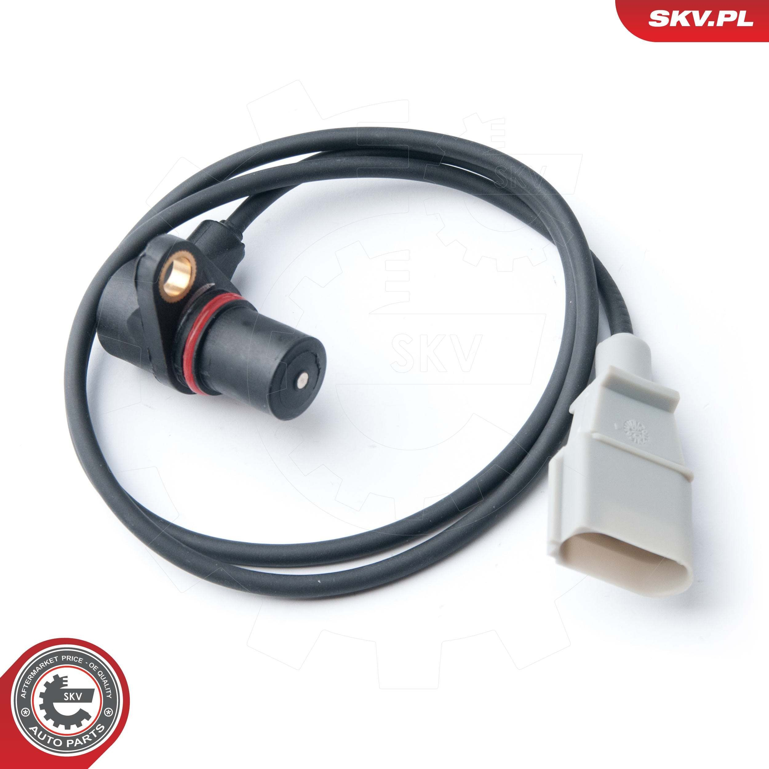 17SKV265 SKV