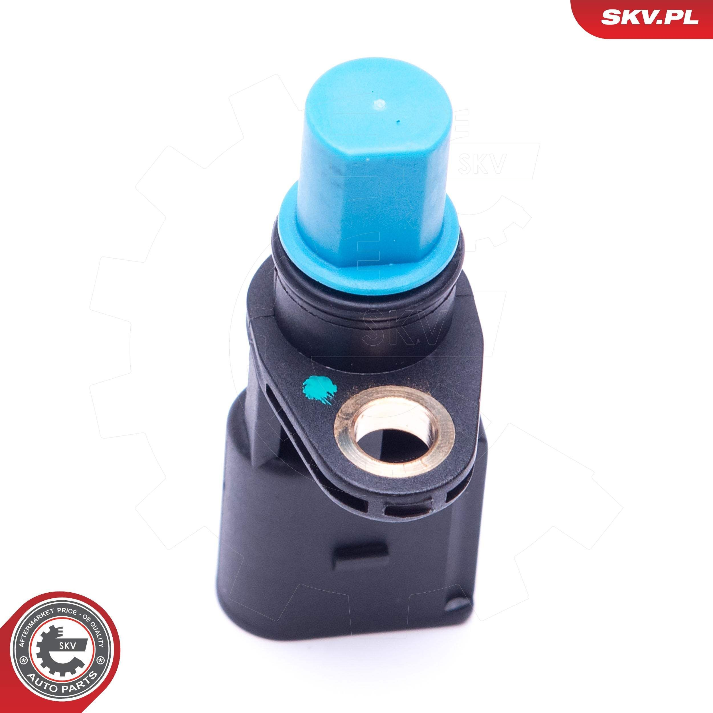 17SKV485 SKV