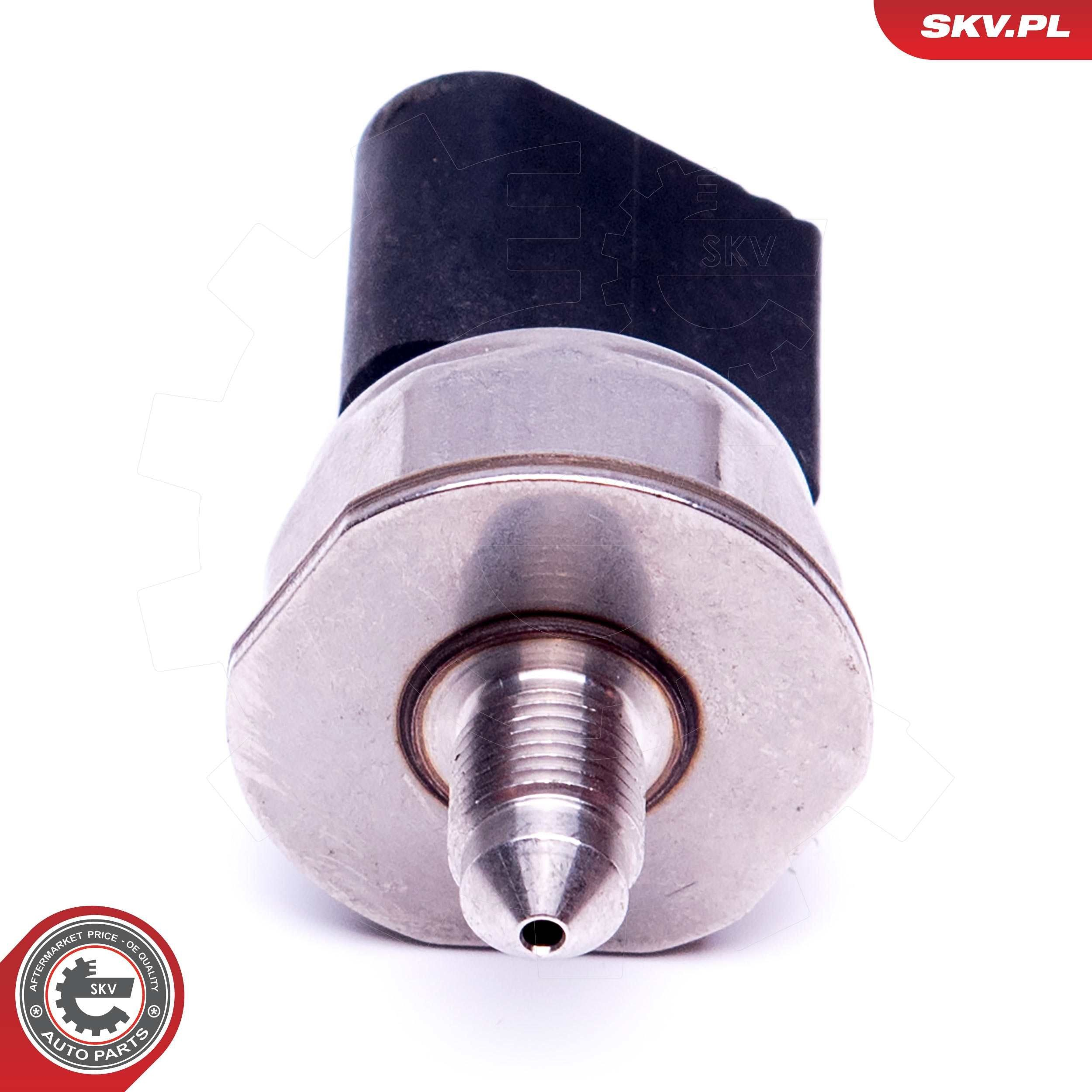  SKV 17SKV597