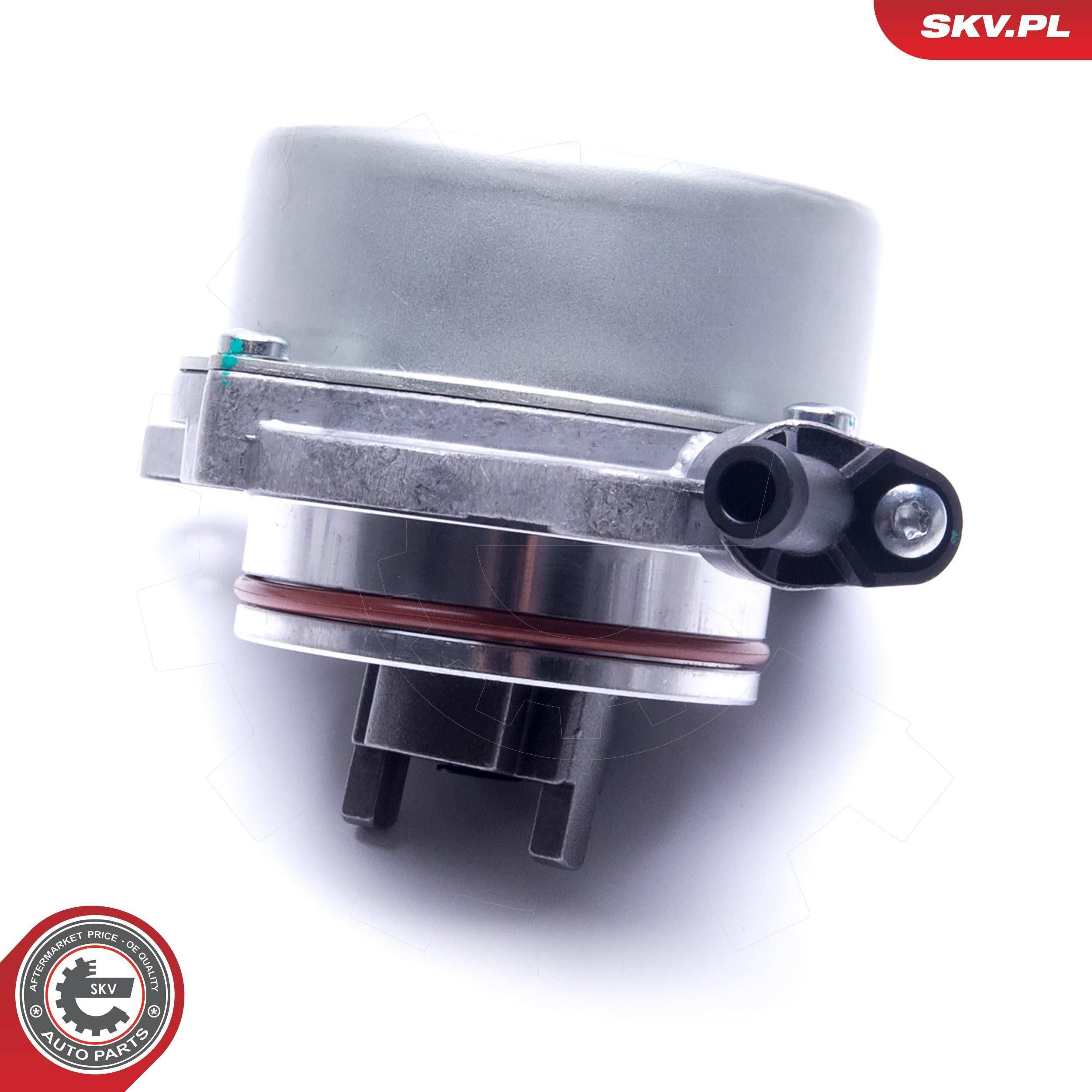 18SKV046 SKV