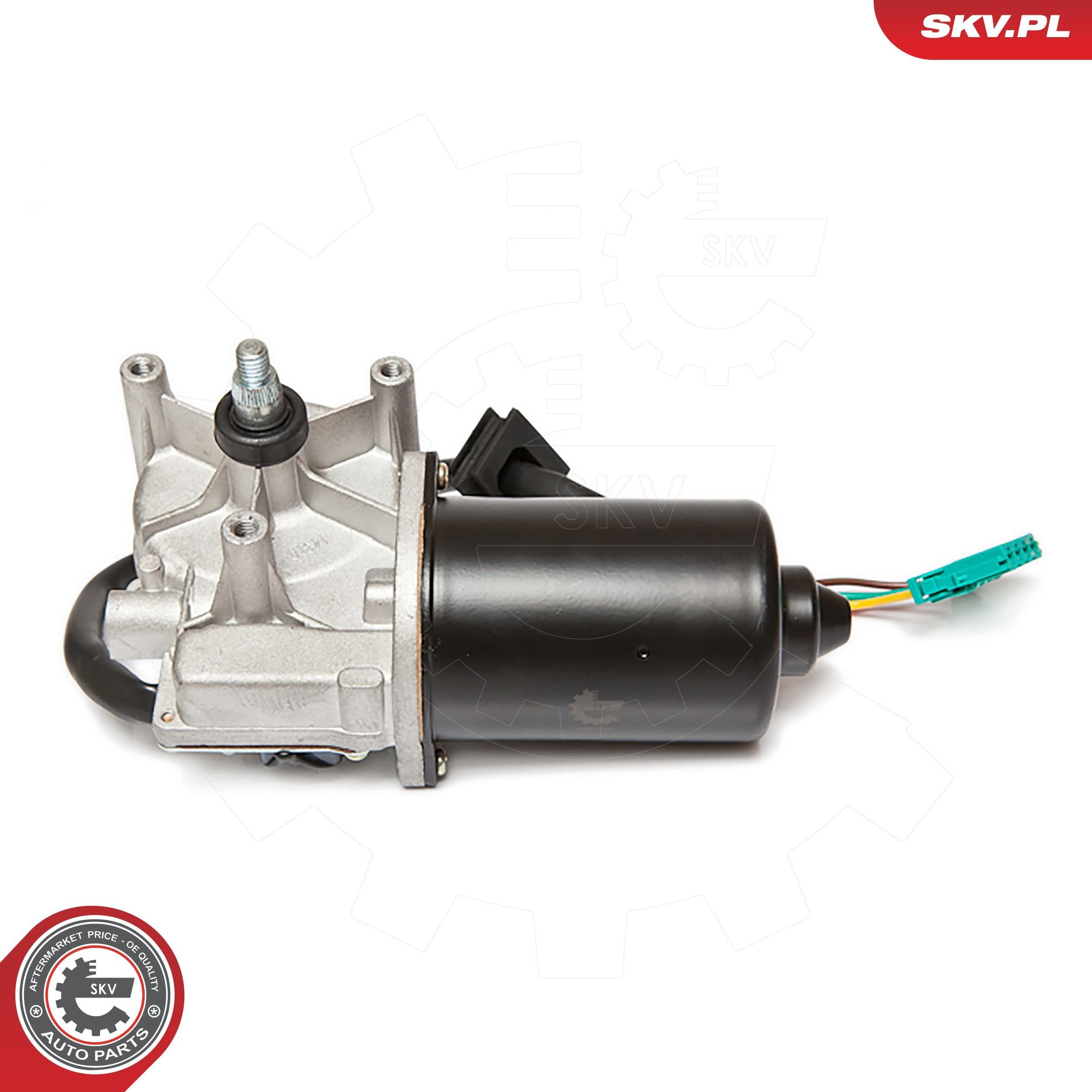 19SKV013 SKV