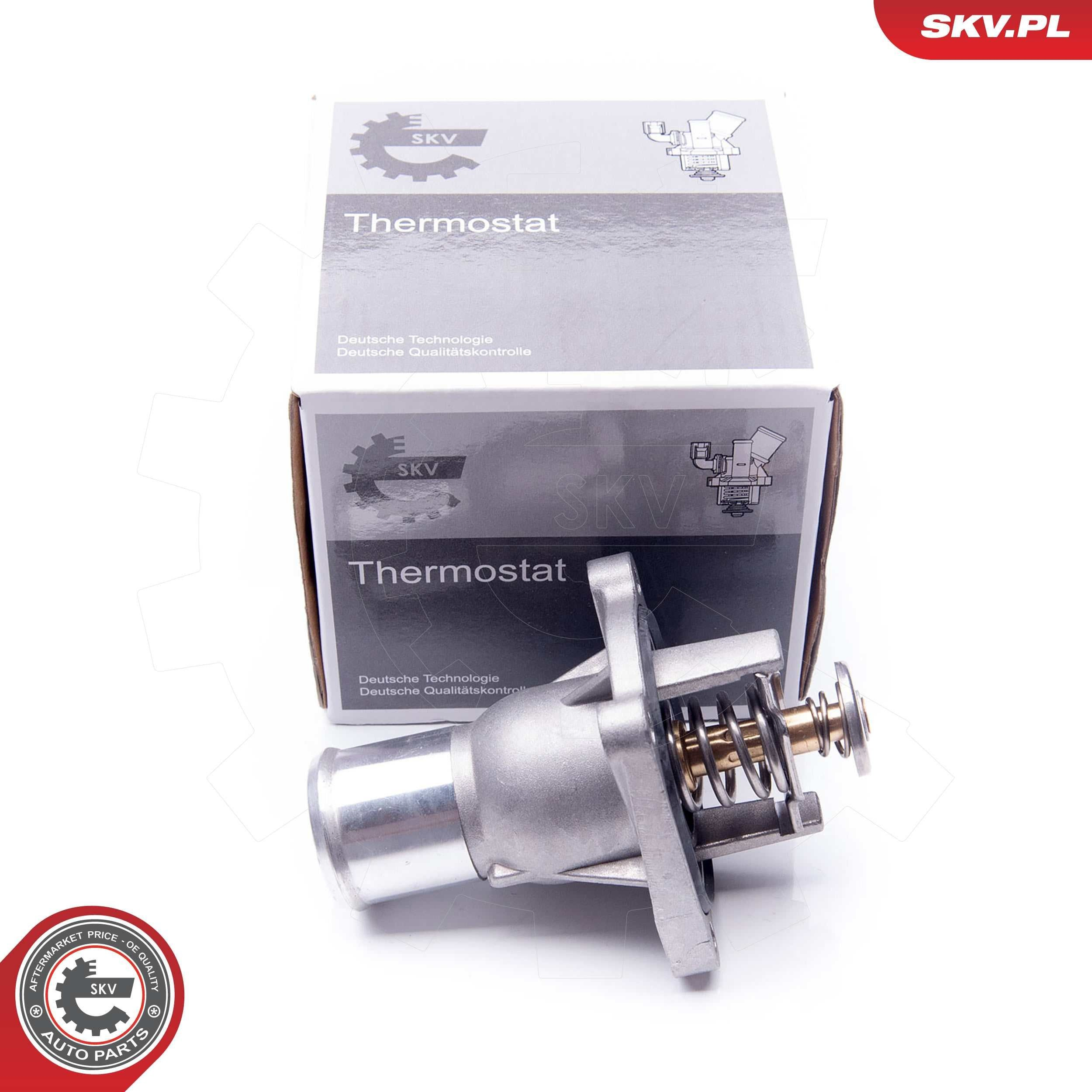 Termostat 6338050 General Motors