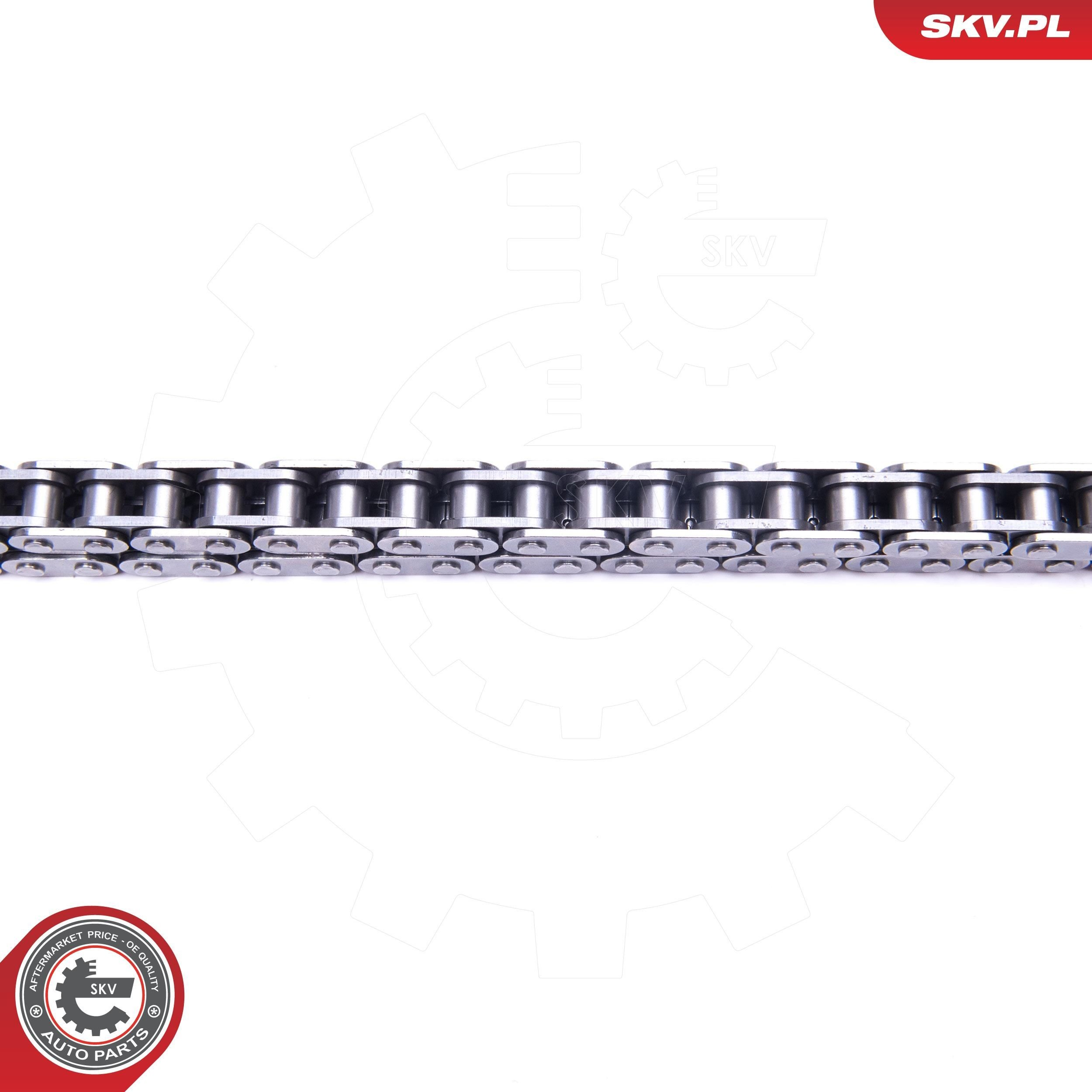 21SKV172 SKV