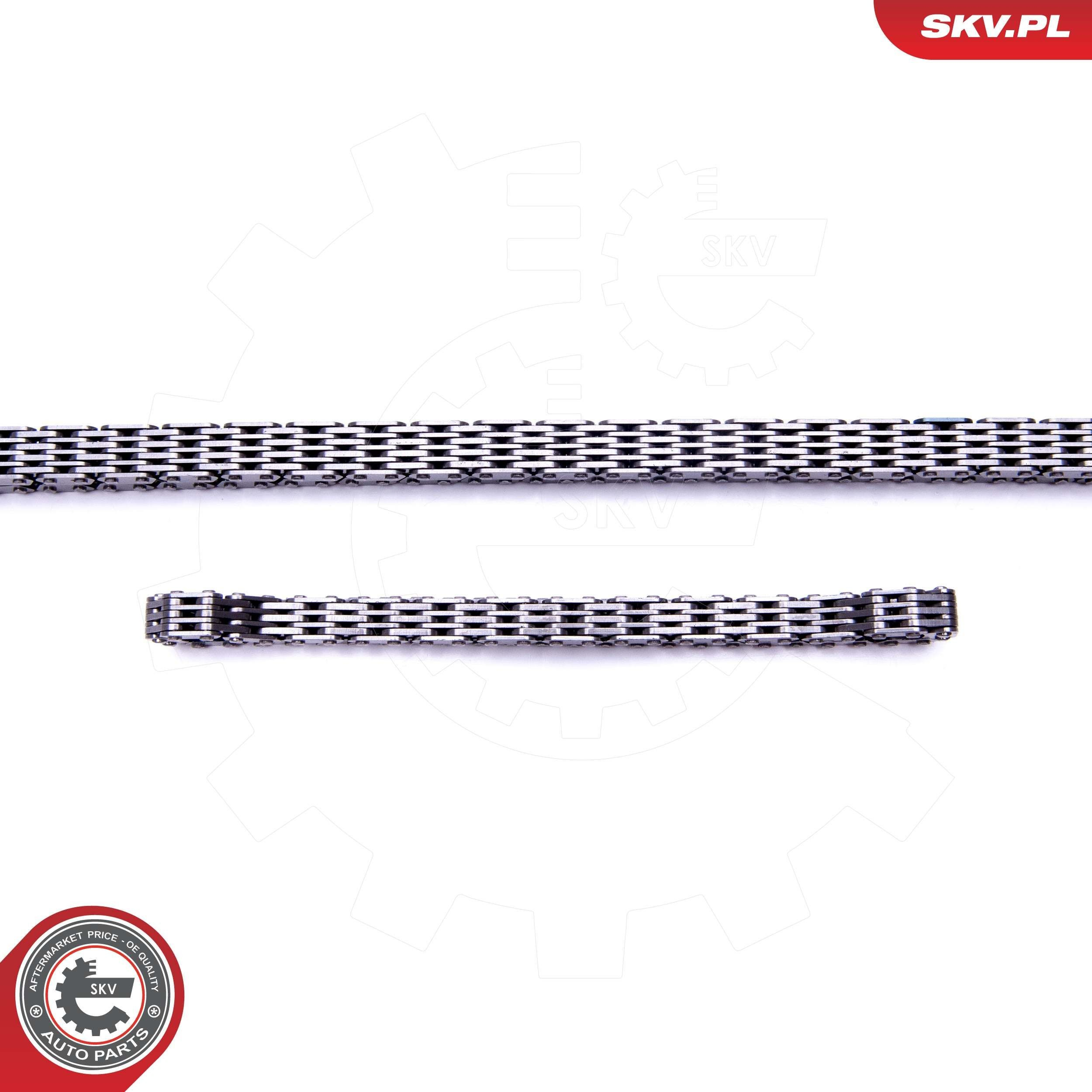 21SKV243 SKV
