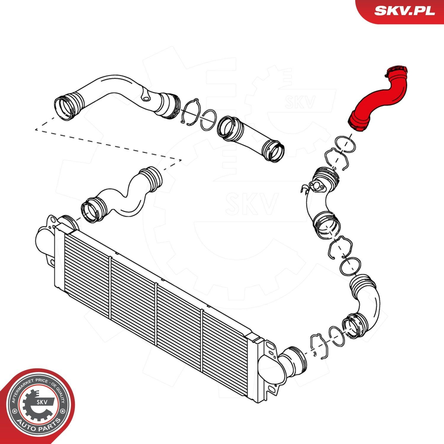 24SKV097 SKV