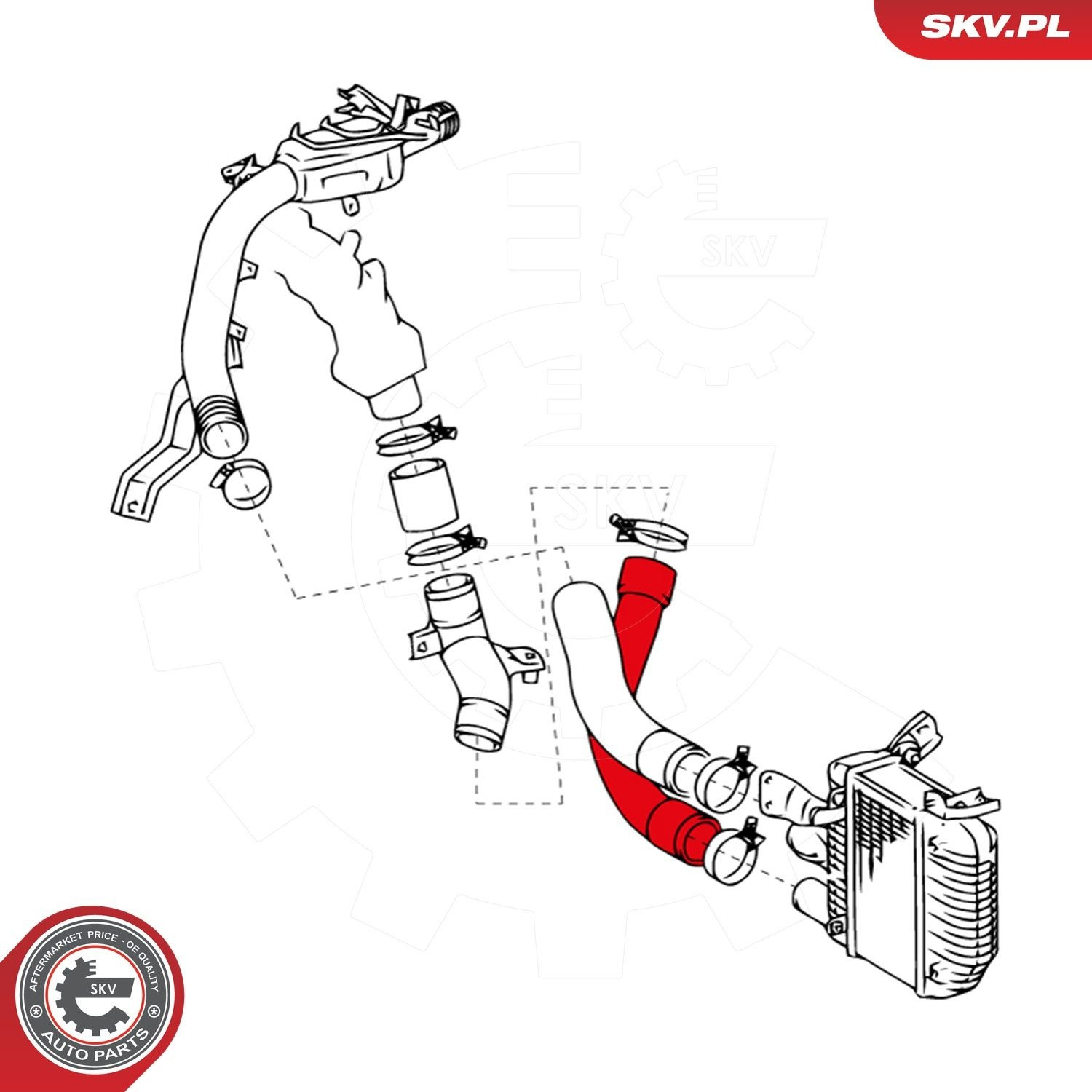 24SKV677 SKV