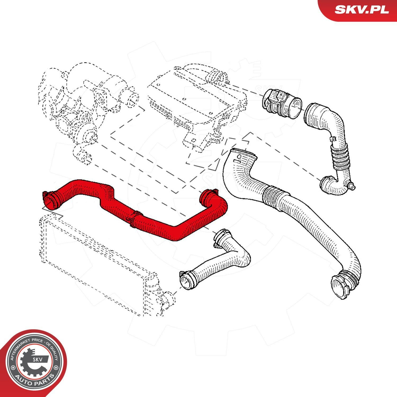 24SKV742 SKV