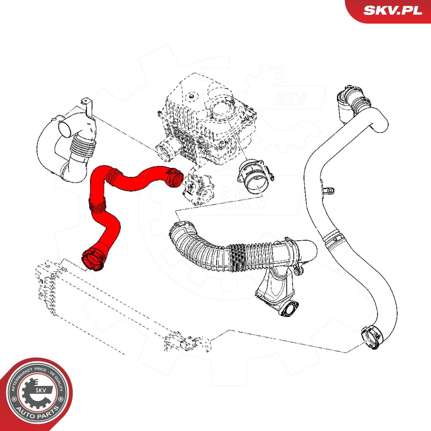 24SKV809 SKV