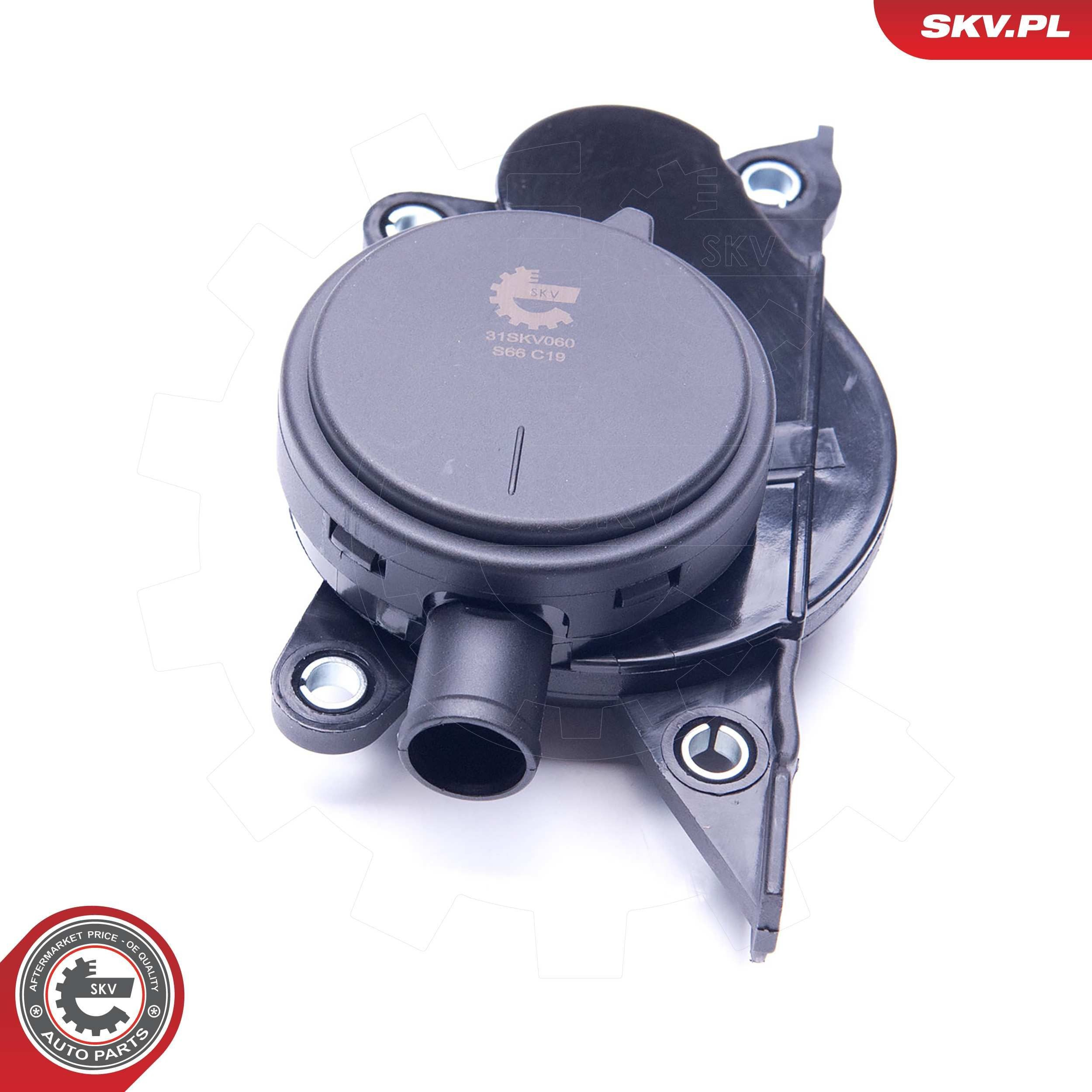 31SKV060 SKV