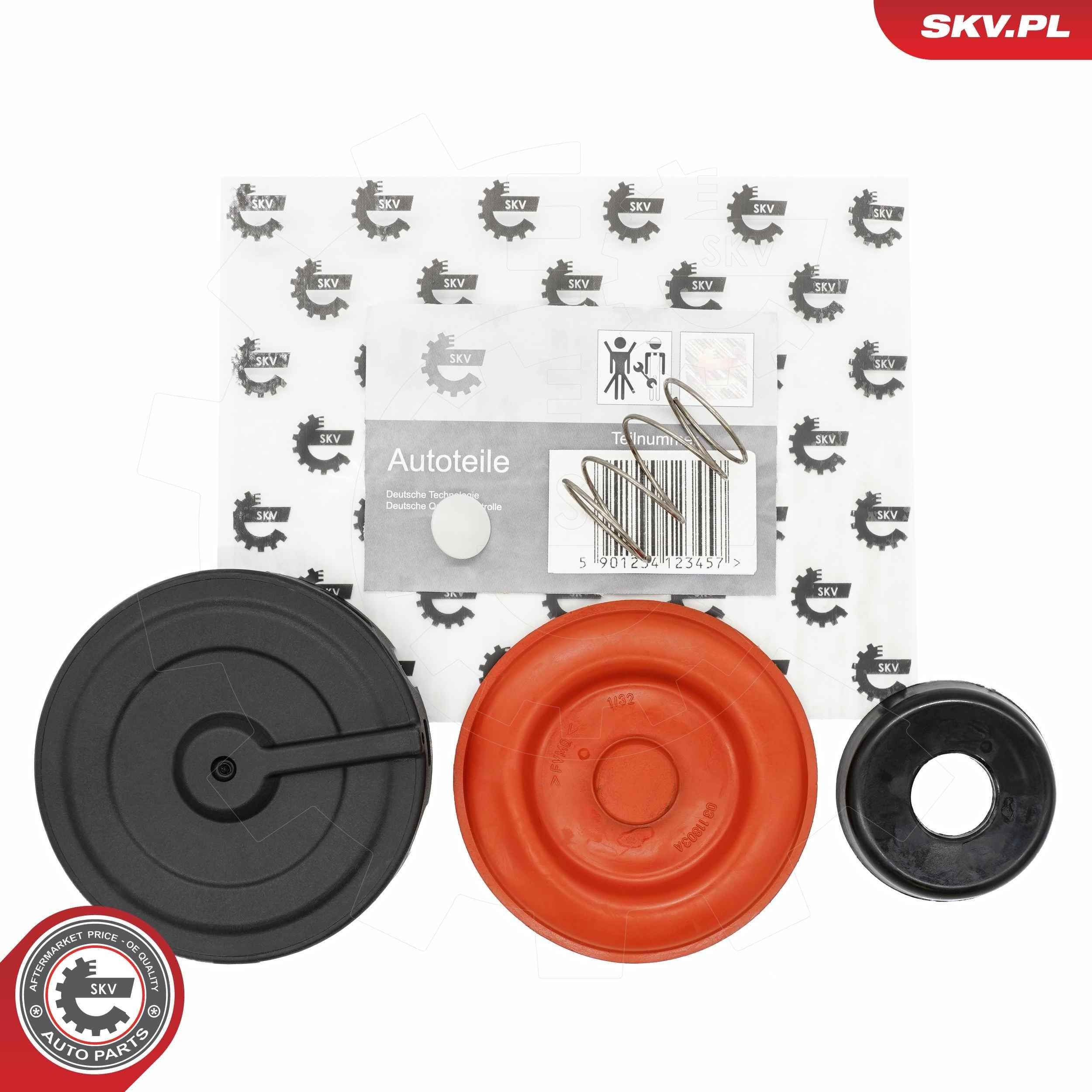31SKV242 SKV
