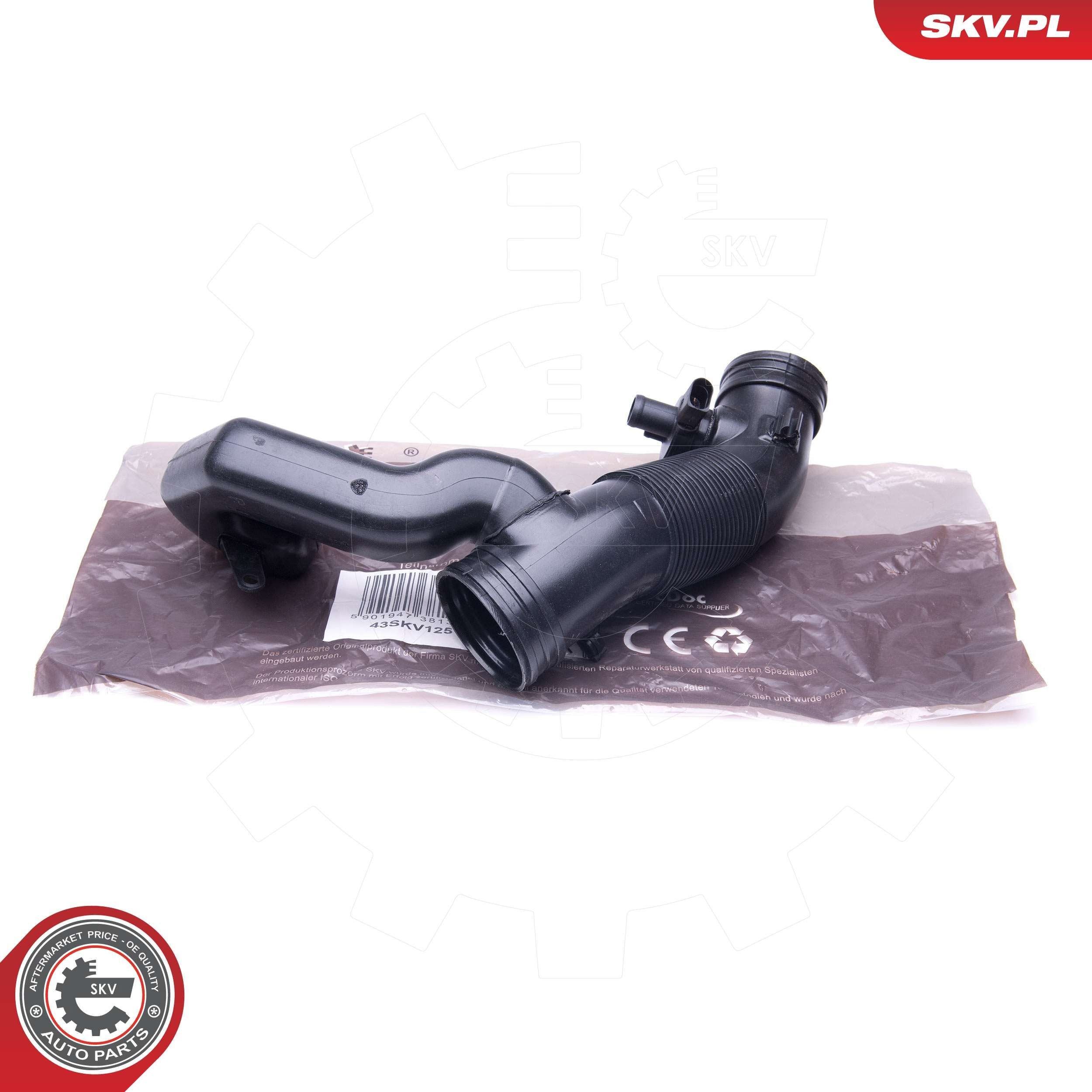 Króciec powietrza, przepływomierz SKV 43SKV125 cena, od 35,45 USD