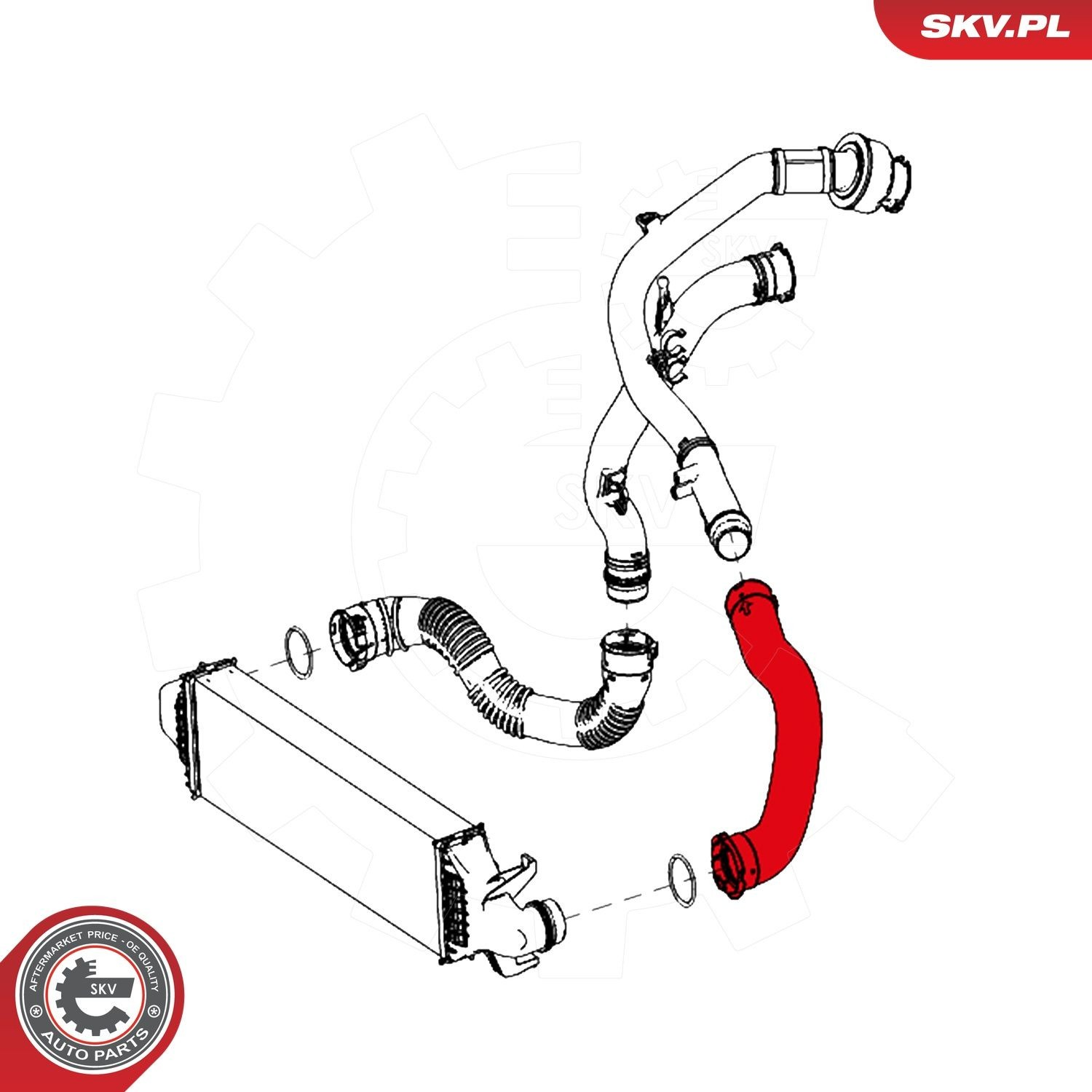 43SKV128 SKV