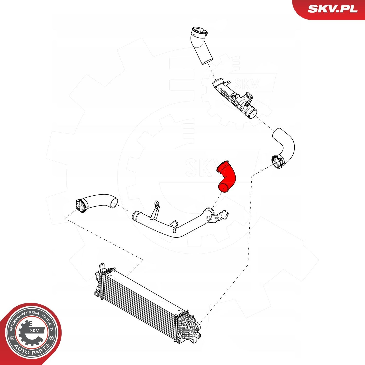 43SKV149 SKV