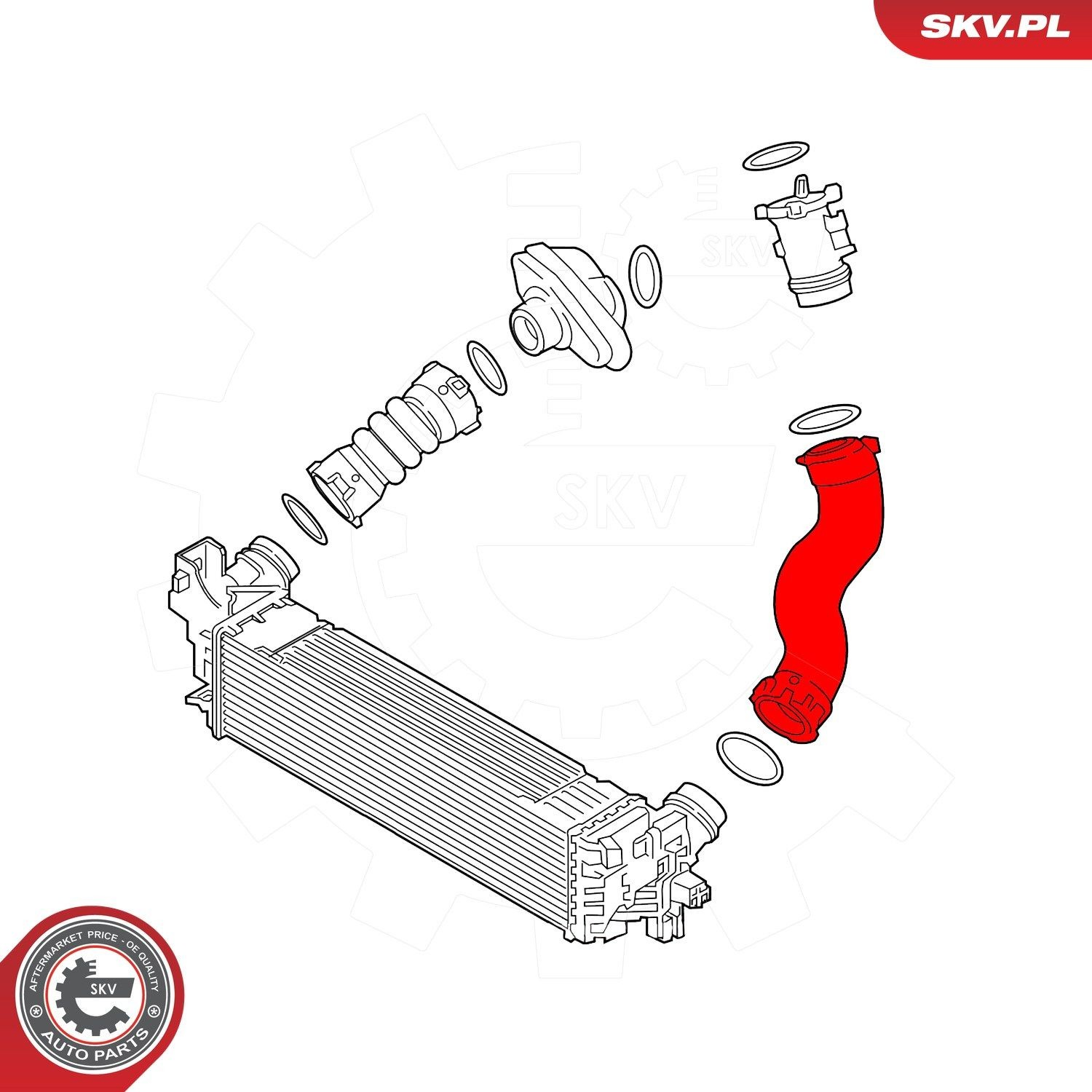 43SKV468 SKV