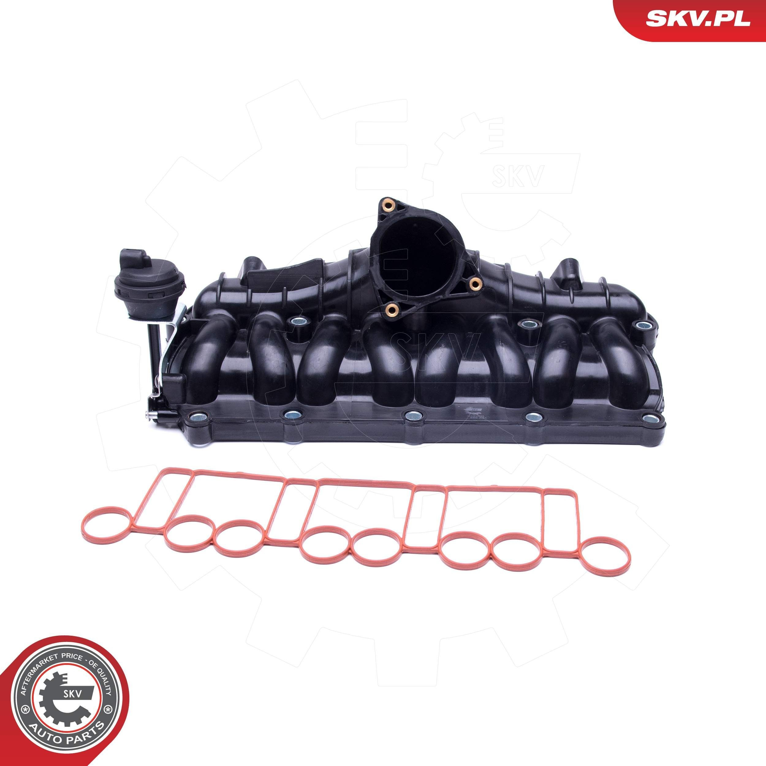 49SKV036 SKV
