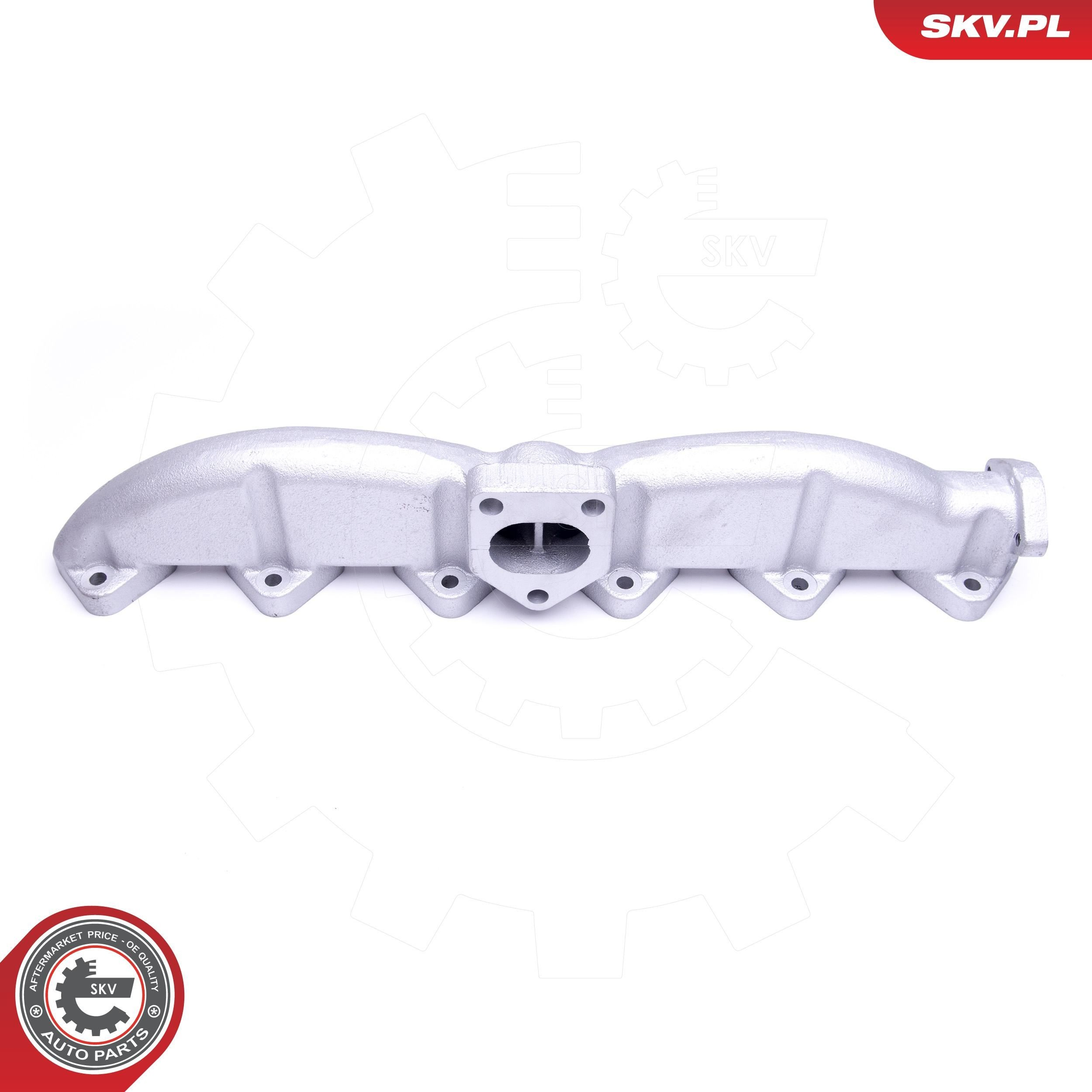 49SKV053 SKV