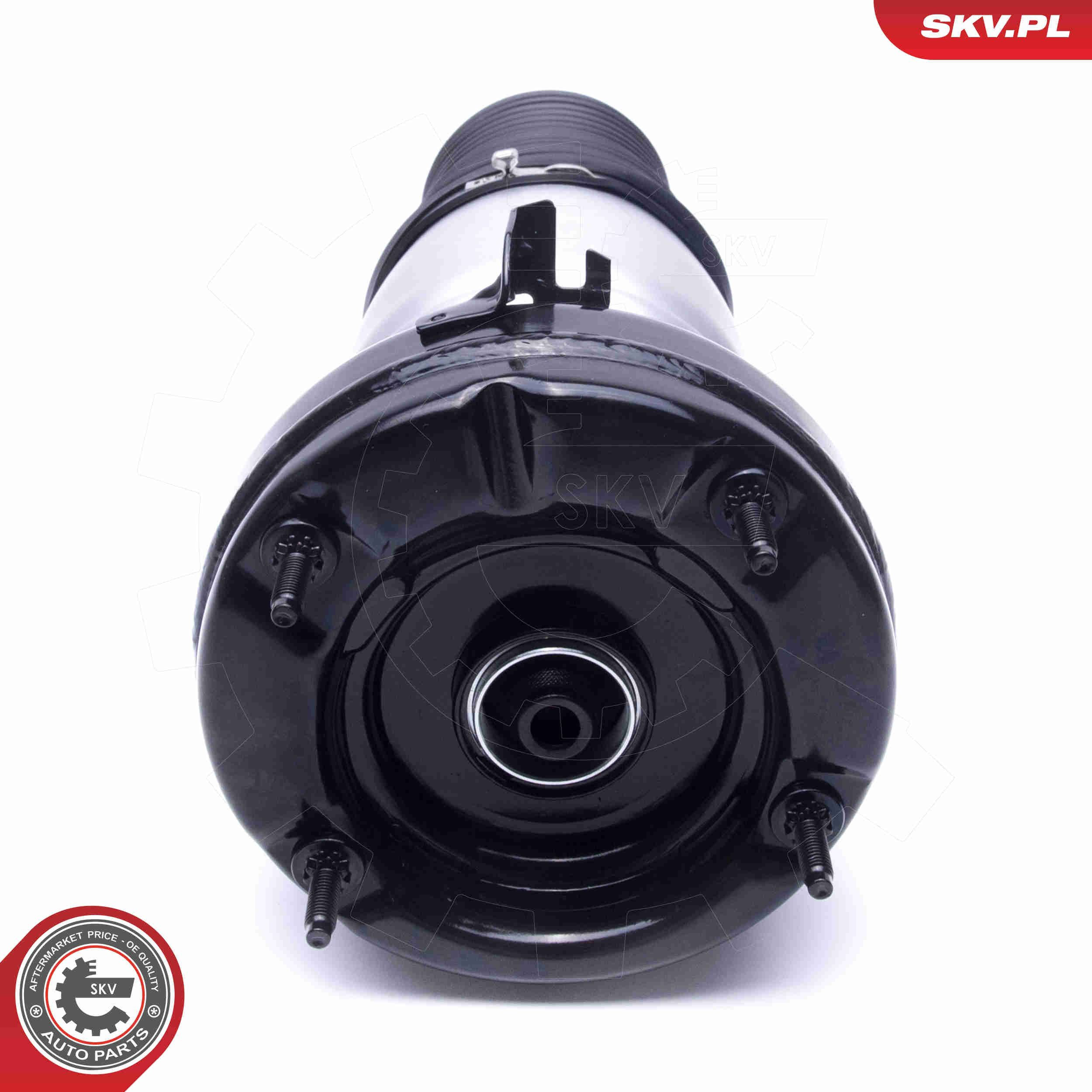 58SKV069 SKV