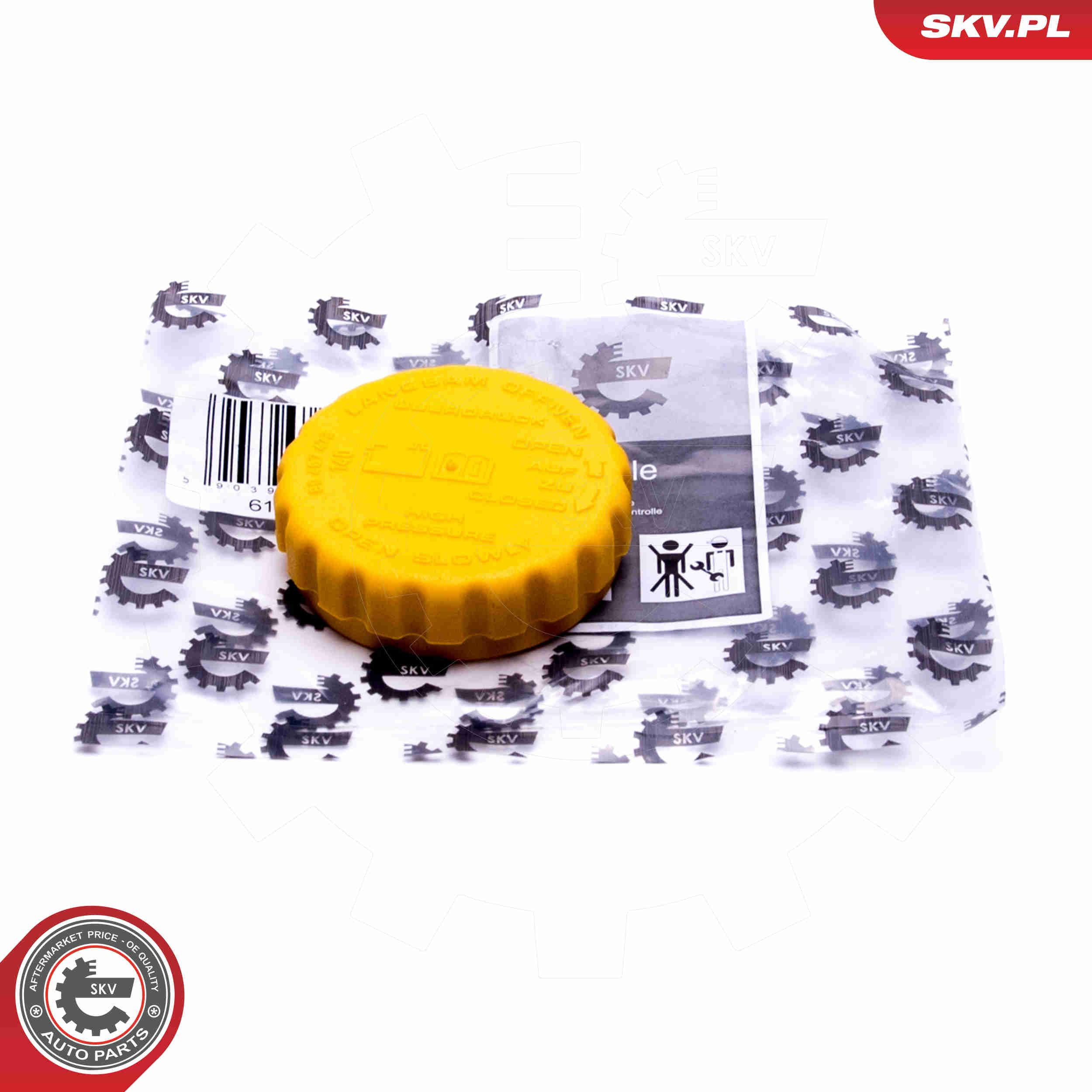 61SKV020 SKV