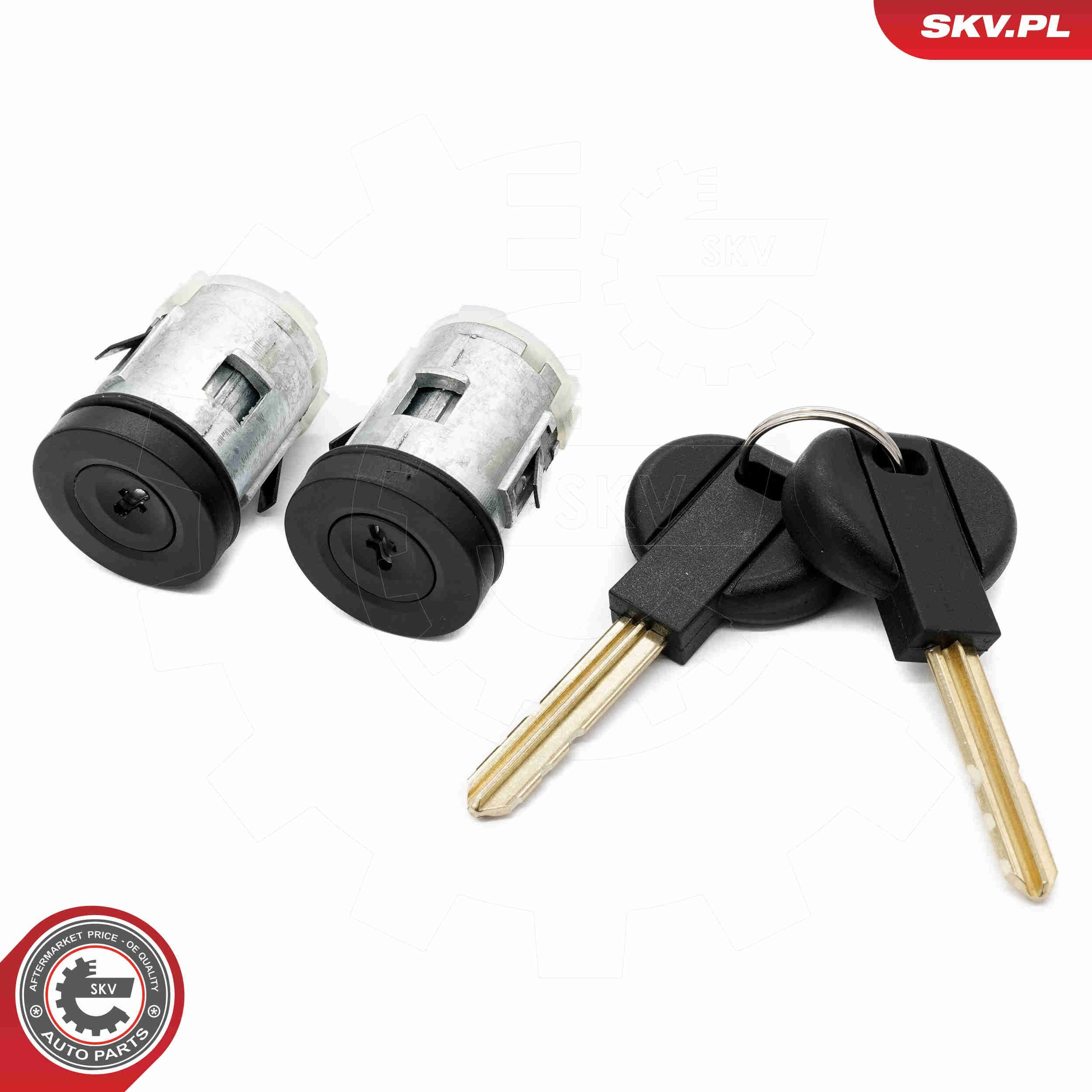 65SKV811 SKV