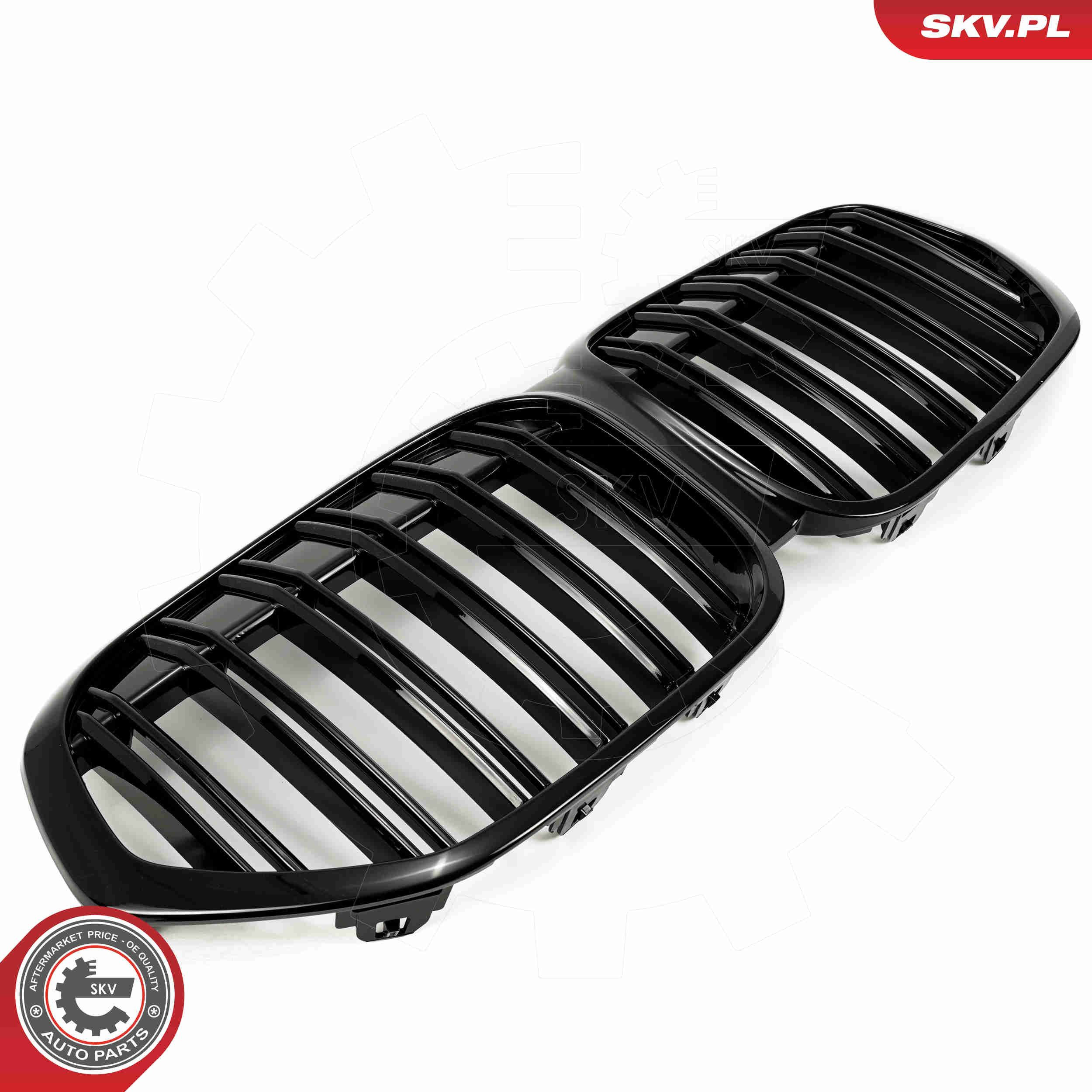 Atrapa chłodnicy 511318517811 BMW