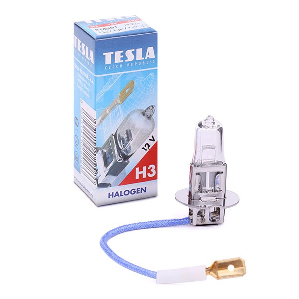 B10301 Tesla