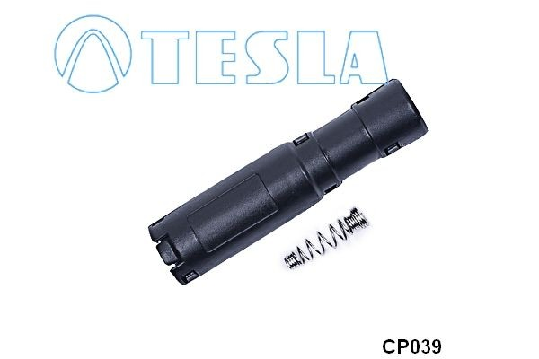 CP039 Tesla