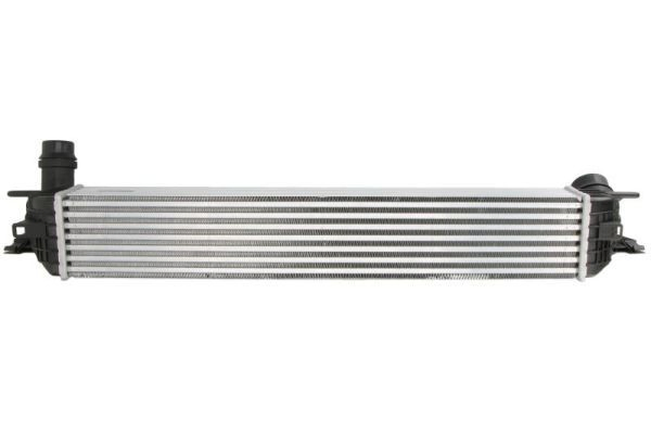 Zbiorniczek wyrównawczy układu chłodzenia Renault Latitude sedana (L7) (2011 - 2026) cena, od 42,62 USD