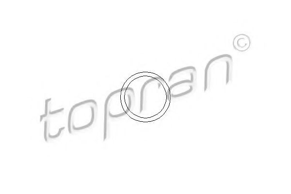 Uszczelka termostatu Opel Tigra A coupe (S93) (1994 - 2000) cena, od 1,43 USD