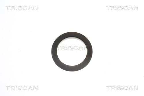 850013924 Triscan