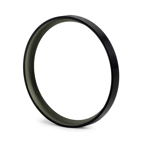 Tarcza hamulcowa tylna VAG 424934 cena, od 66,46 USD