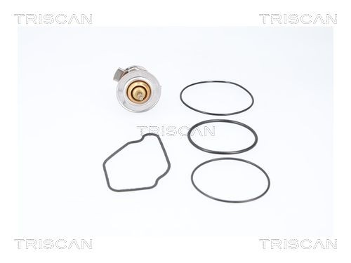 Termostat Triscan 862011792 cena, od 18,08 USD