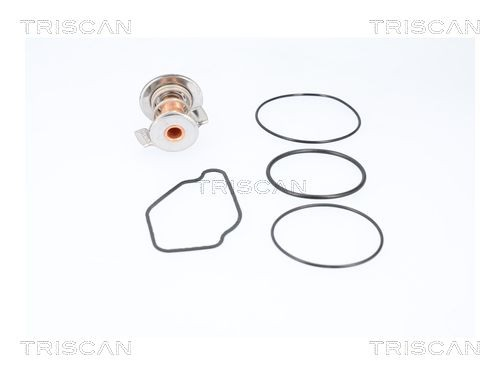 Do koszyka 862011792 Triscan Termostat