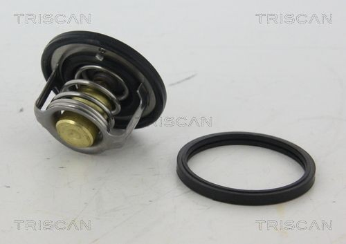 A210282 Tama Termostat