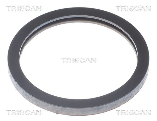 Termostat do Iveco Daily III 