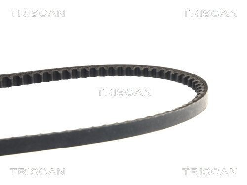 8640101063 Triscan