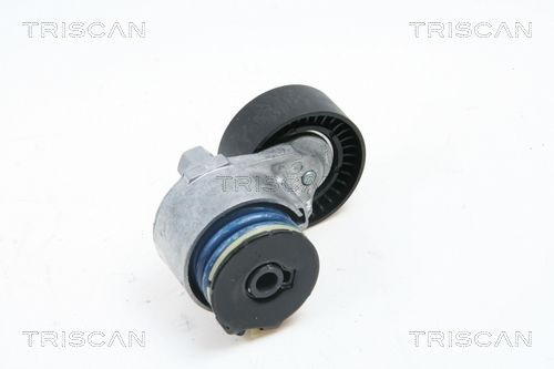 Napinacz paska napędowego do Renault Clio SYMBOL LB0, LB1, LB2