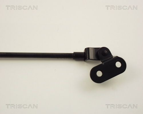 Do koszyka Amortyzator klapy bagażnika (3/5 drzwi-tylnych) Nissan Micra  K10