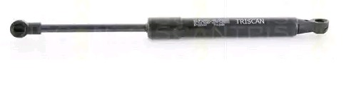 Amortyzator maski Renault Latitude sedana (L7) (2011 - 2026) cena, od 55,56 USD