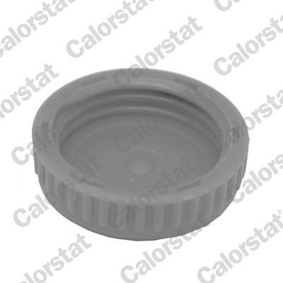 Pokrywa (korek) zbiornika wyrównawczego Nissan Almera II hatchback (N16) (2000 - 2006) cena, od 4,98 USD