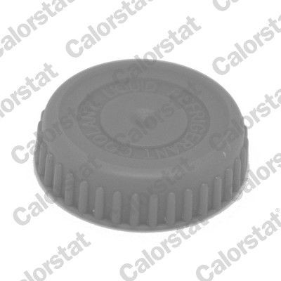 Pokrywa (korek) chłodnicy Nissan Primera sedana (P12) (2002 - 2008) cena, od 6,47 USD