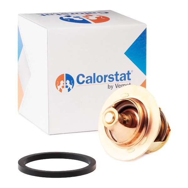 Termostat 5495311 Fiat/Alfa/Lancia