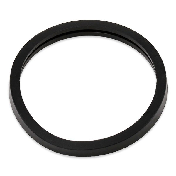 Termostat TH489892J Vernet