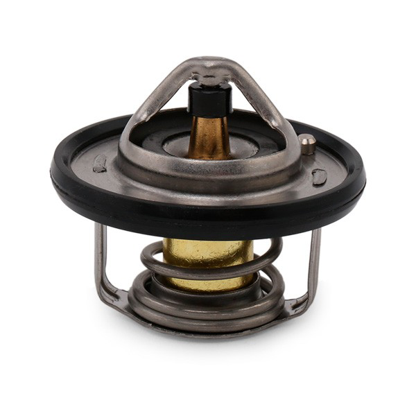 TH694982J Vernet Termostat