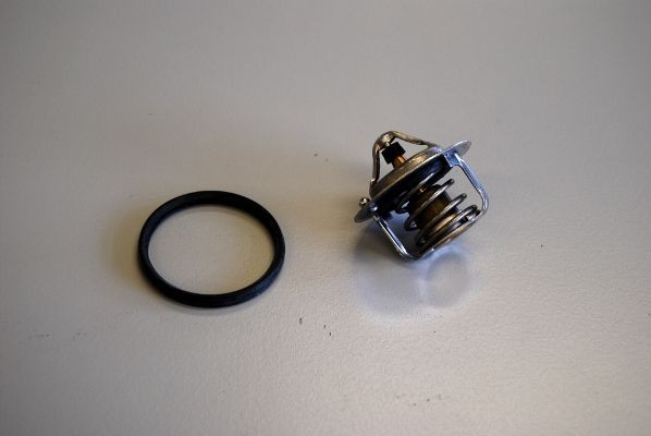 Termostat Renault Latitude sedana (L7) (2011 - 2026) cena, od 14,20 USD