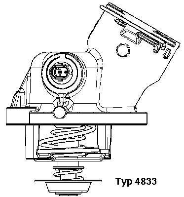 4833100D Wahler Termostat