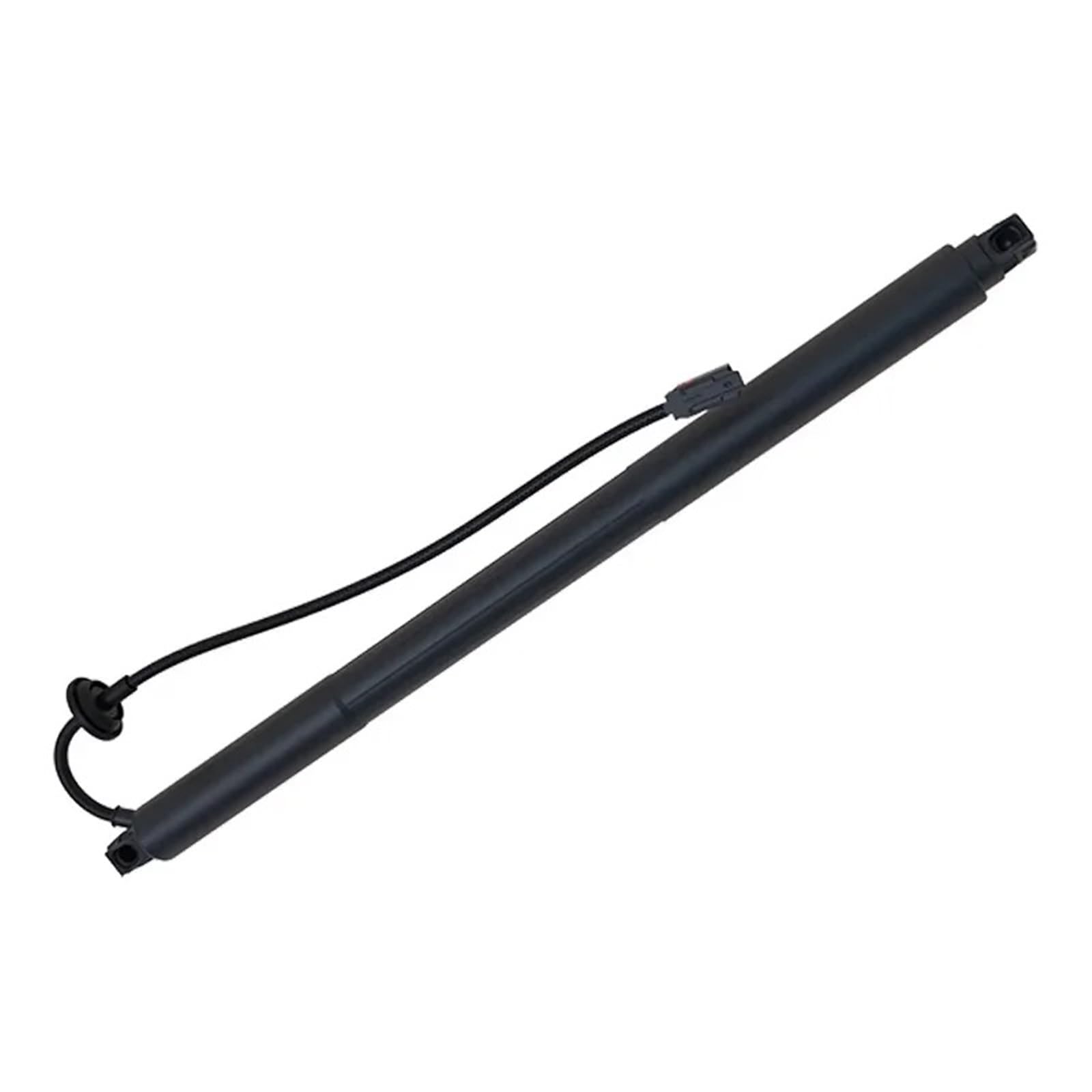 T313 Gates Pasek rozrządu