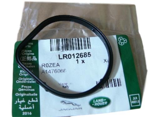 LR012685 Rover