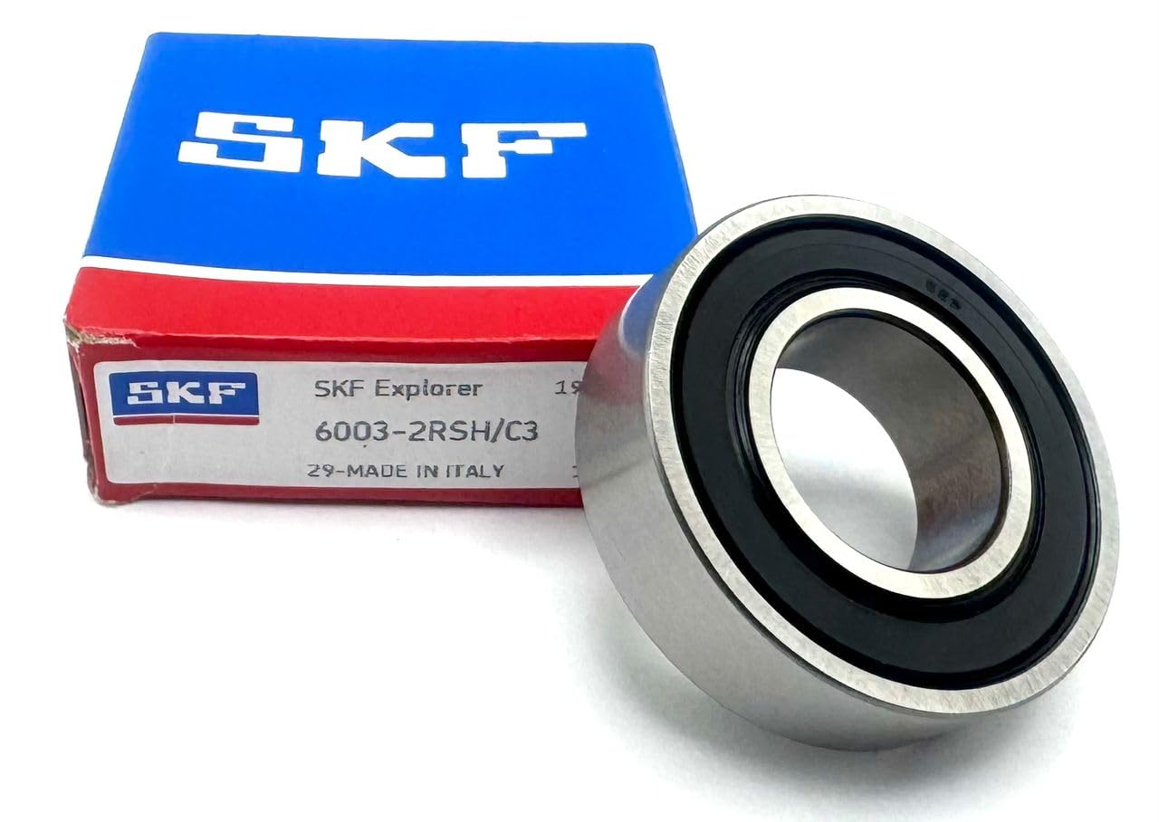 6003 SKF